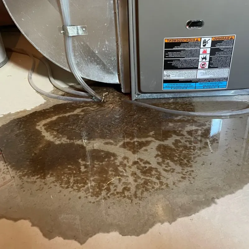 Pipe Burst and Leak Restoration in West Yellowstone, MT