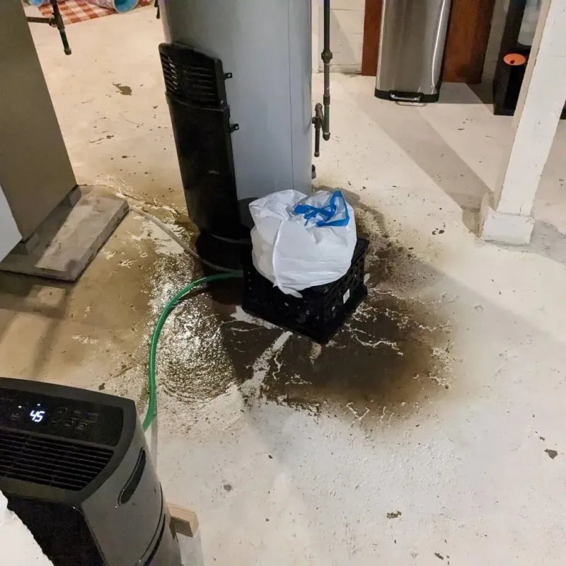 Sewage Backup Cleanup Service in West Yellowstone, MT